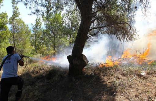  İklim Krizi Orman Yangınlarını Tetikliyor