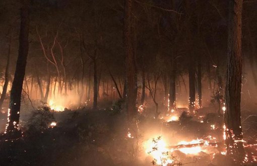 HBİM Group Claims Forest Fires in İstanbul, Muğla