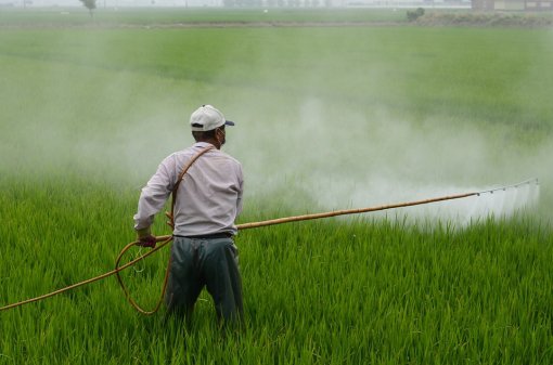 Pesticide Usage Increases by 57 Percent in Turkey in Last Decade