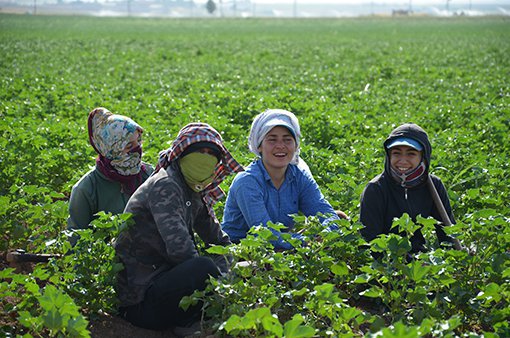 Tarım İşçisi Kadınlar Anlatıyor: Hakkımızı İstiyoruz