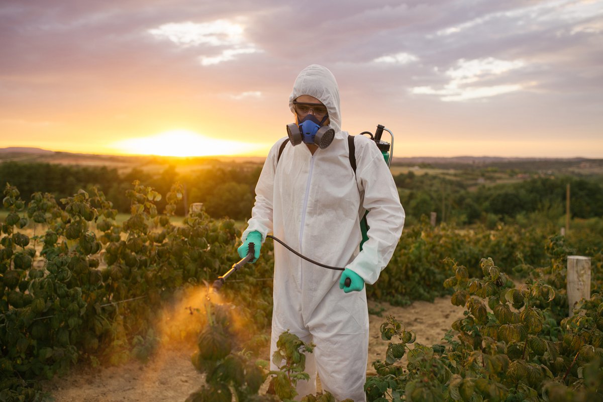 Pestisit Kullanımındaki Artış Ne Anlama Geliyor?