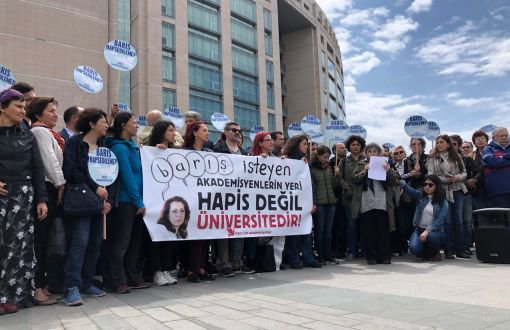 Prof. Dr. Kaboğlu: Administration is Obliged to Abide by Constitutional Court Verdict