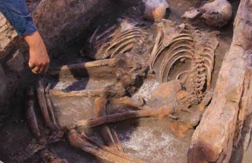 5,000-Year-Old Human Skeletons Found in Eskişehir
