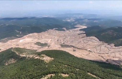 How Many Trees Cut Down on Ida Mountains Because of Gold Mine?