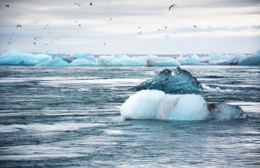 Bilim İnsanları Uyardı: Buz Kütleleri Alaska'dan 240 Kilometre Uzaklaştı