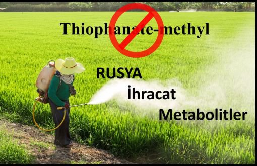 Rusya’dan Geri Dönen Gıdalardaki Pestisit ve Metabolit Kalıntıları