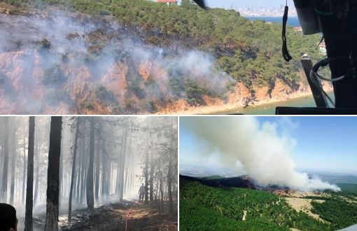 Burgazada ve Marmara Adası’nda Orman Yangını