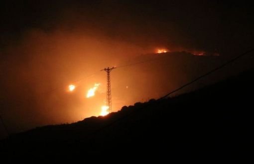Forestland in İstanbul, Balıkesir and Kütahya Razed in Forest Fires