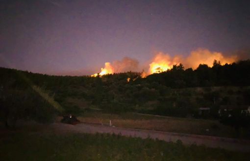 500-Hectare Forestland Blazed in İzmir