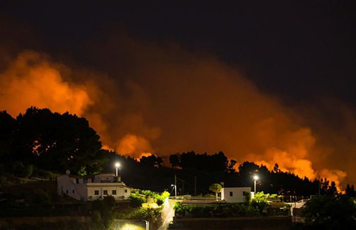 Kanarya Adalarında Orman Yangını: 8 Bin Kişi Tahliye Edildi