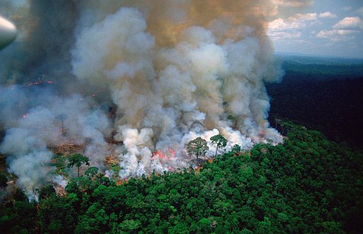 Amazon Yağmur Ormanları Haftalardır Yanıyor