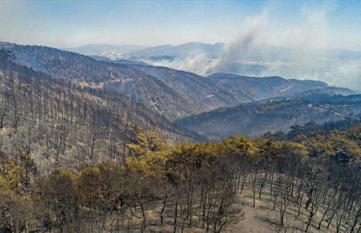 İzmir Wildfire: Minister Says 500, Mayor Says 5 Thousand Hectares of Forestland Razed