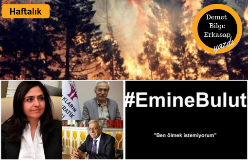 Bir Haftalık Gündemle Türkiye Özeti: Kayyum, Yangın, Erkek Şiddeti