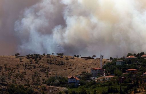 TMMOB İzmir: Yangınlarda 6 Bin 500 Hektarlık Orman Alanı Tahrip Oldu