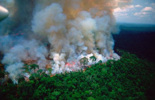 Amazonlar'daki Yangınlar İçin  “Çözüm Zirvesi”
