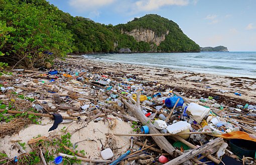 Plastik Çağı: Erişilemeyen Adadan Binlerce Plastik Çıktı