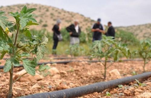 CHP'den Çiftçi Borçlarına "Kuraklık Ertelemesi" Teklifi