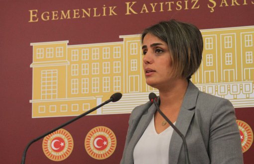 HDP'li Başaran: İktidarın Görevi Barış Ortamını Tesis Etmektir
