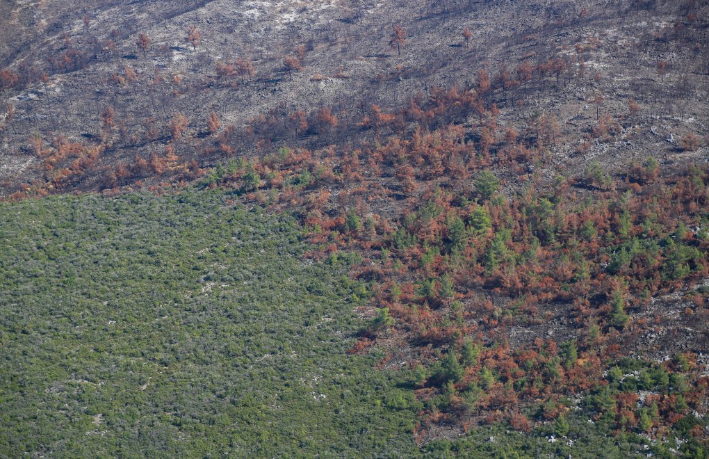 Orman Yangınları Önergesi AKP ve MHP Oylarıyla Reddedildi