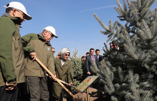 Erdoğan: They Didn’t Care About Planting Trees, They Wanted to Burn Down Turkey