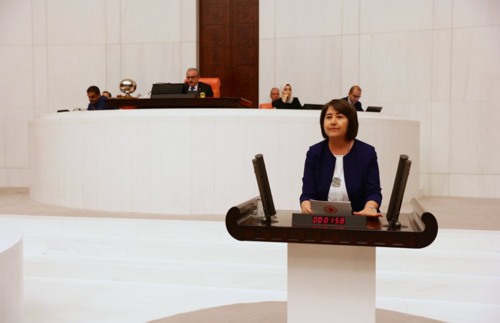 HDP’li Serpil Kemalbay, Kadın İşsizliğini Meclis’e Taşıdı 