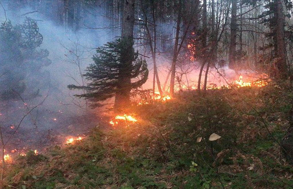 Uludağ'da Orman Yangını