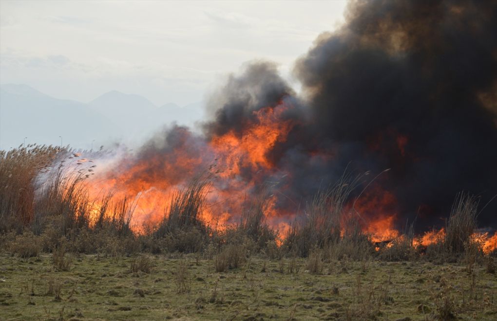 Trabzon'da 10 İlçede 22 Orman Yangını