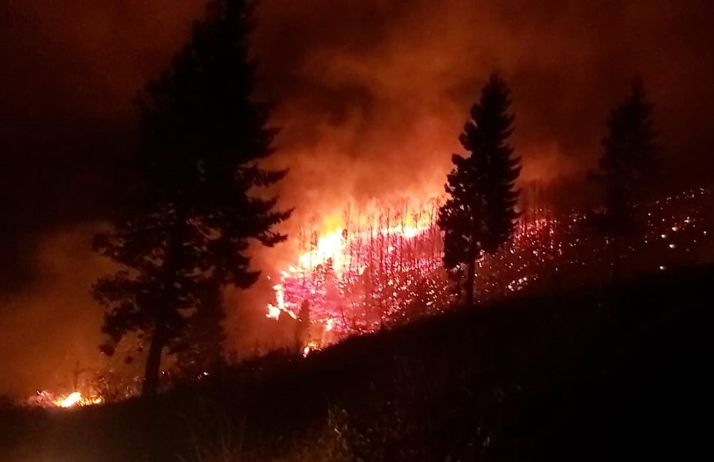 Karadeniz’de İki Günde 150 Noktada Yangın Çıktı  