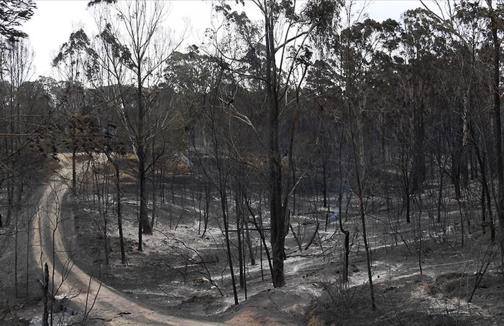  Avustralya'daki Yangında Ölü Sayısı 15'e Çıktı