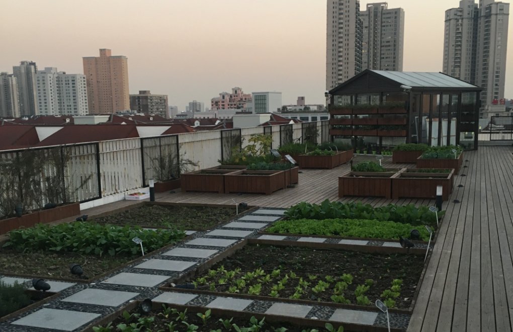 İstanbul Discusses 'Rooftop Agriculture'