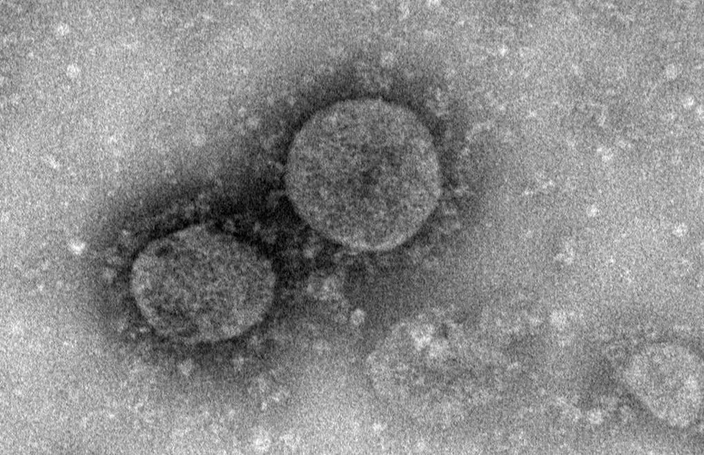 Koronavirüs’ün Yeni Adı Covid-19