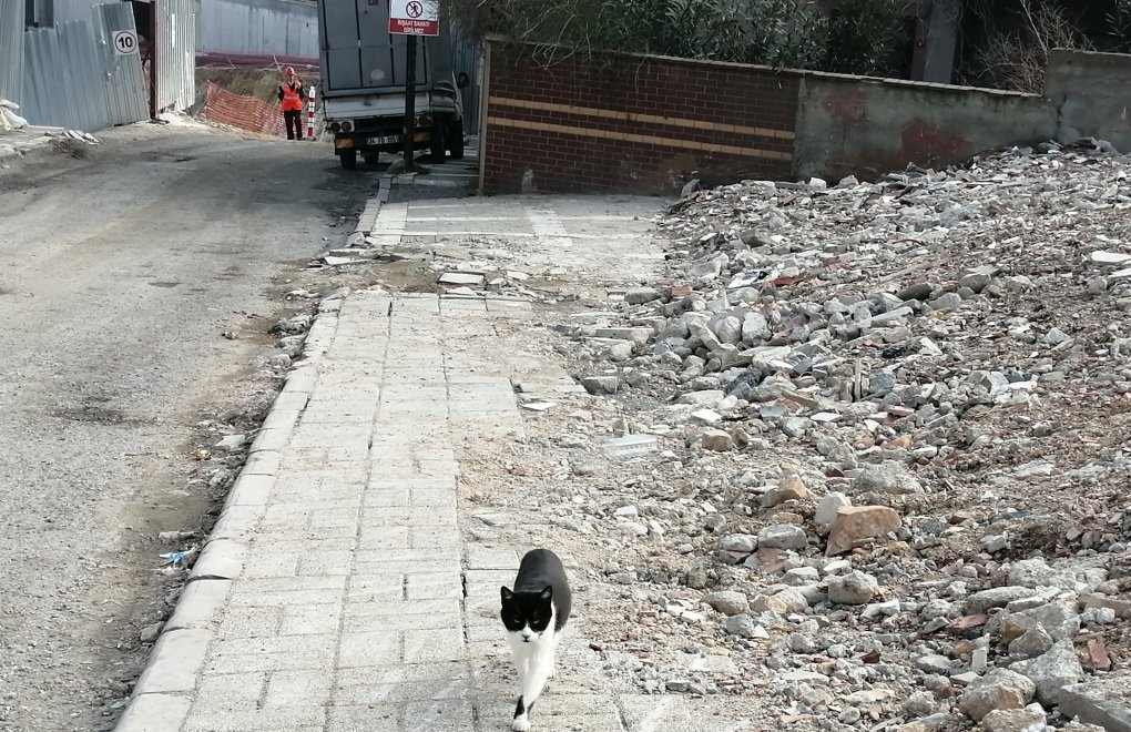 Bosphorus View Neighborhood Resists Urban Transformation: 'We Have Nowhere to Go'