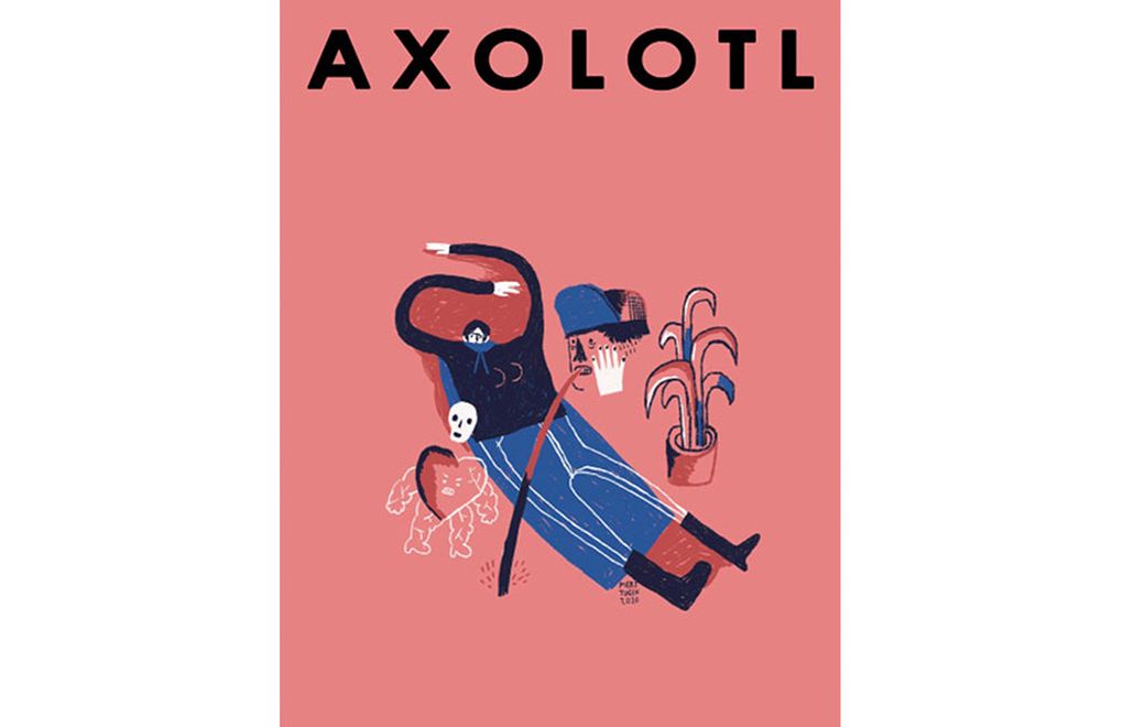Axolotl Senaryo Armağanı Başvuruları için Son Hafta