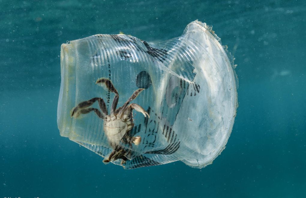 Greenpeace: Koronavirüsten Plastik Değil, Hijyen Korur