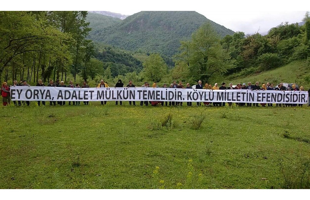Court Cancels Hydroelectric Plant Project in Küre Mountains National Park