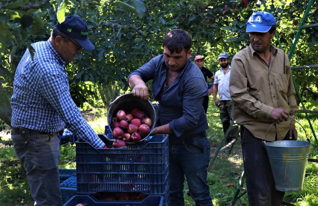 Çiftçi-Sen: Marketlerden Değil, Köy Kooperatiflerinden Tüketin