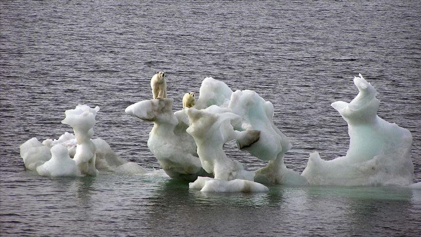 Qeşayên li Okyanûsya Arktîkê dibe ku heta 2050yî bihelin