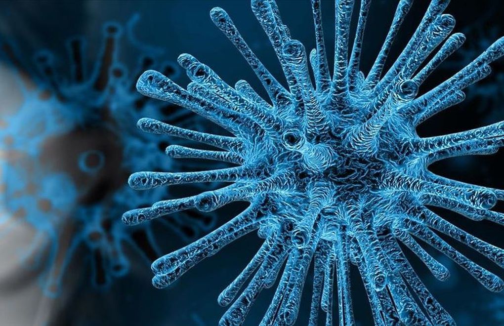 TEPAV Raporu: Koronavirüs Mayısta Zirve Yapacak