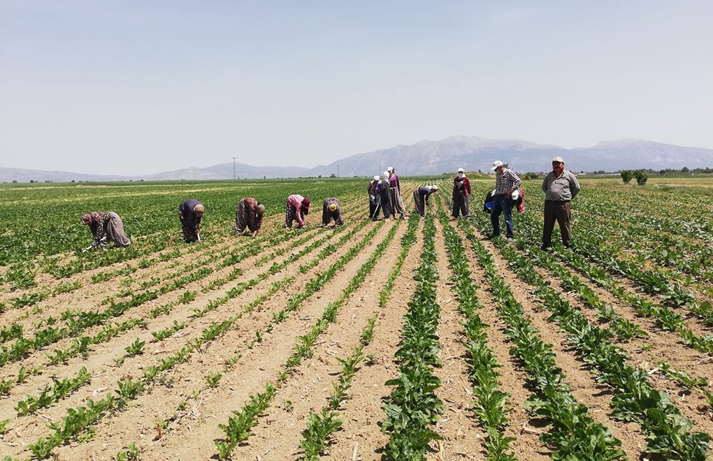 Kılıçdaroğlu'ndan "Çiftçilerin Borçlarını Silelim" Çağrısı