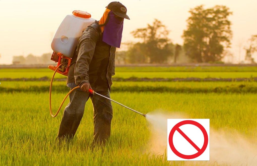 Ministry of Agriculture Turns a Blind Eye to Use of Banned Pesticides in Turkey