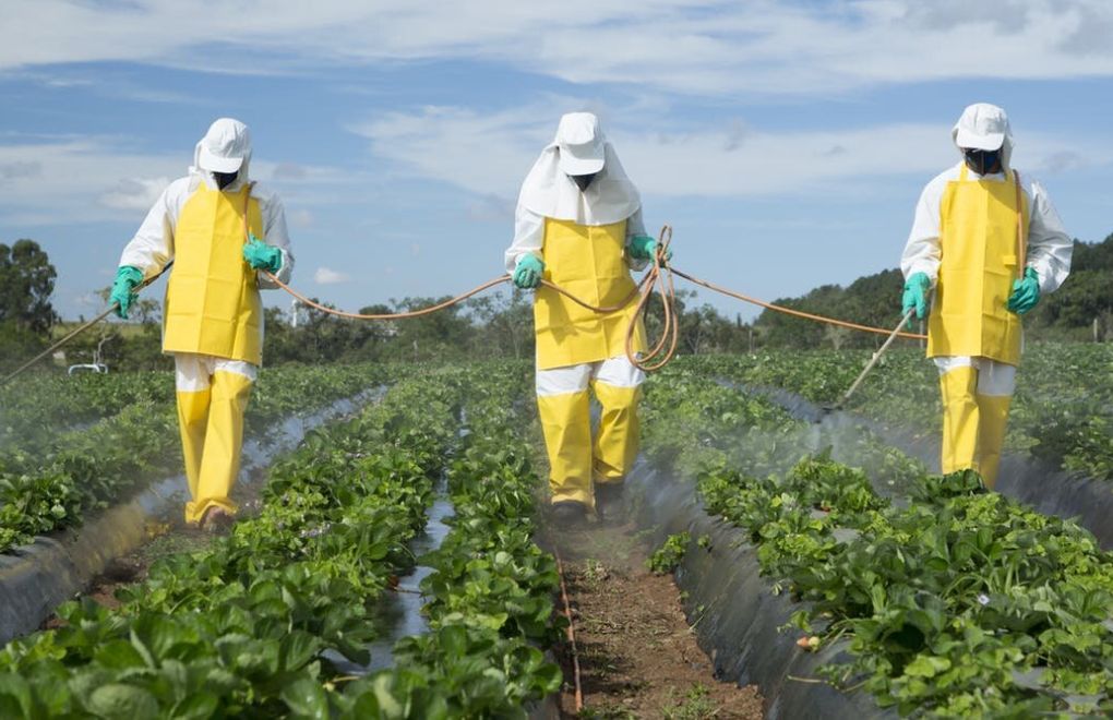 Avrupa Pestisitlere Dayalı Tarım Sistemini Değiştiriyor