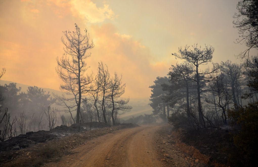In photos: Wildfire in Gelibolu razes 300 hectares of forest