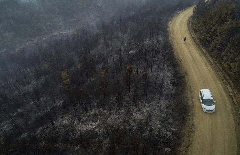 ‘Nearly 7 forest fires broke out in Turkey per day in the last 10 years’