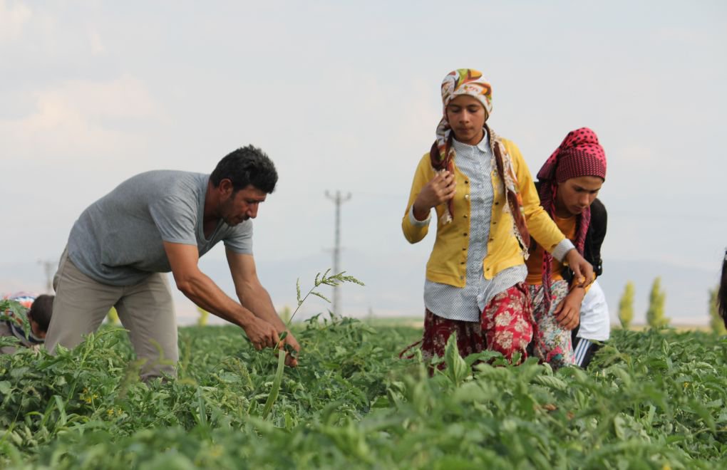 "Tarım işçileri 88 lira yevmiyeye, 88 defa tehlike yaşıyor"