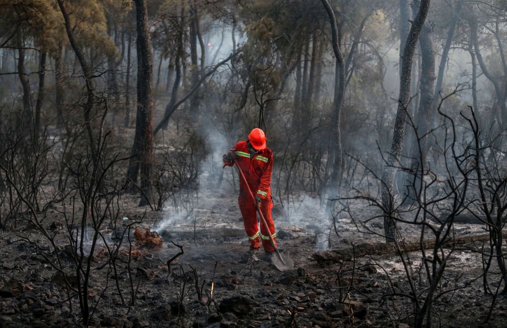 Forest fire in Heybeliada Island in İstanbul: 1 person arrested