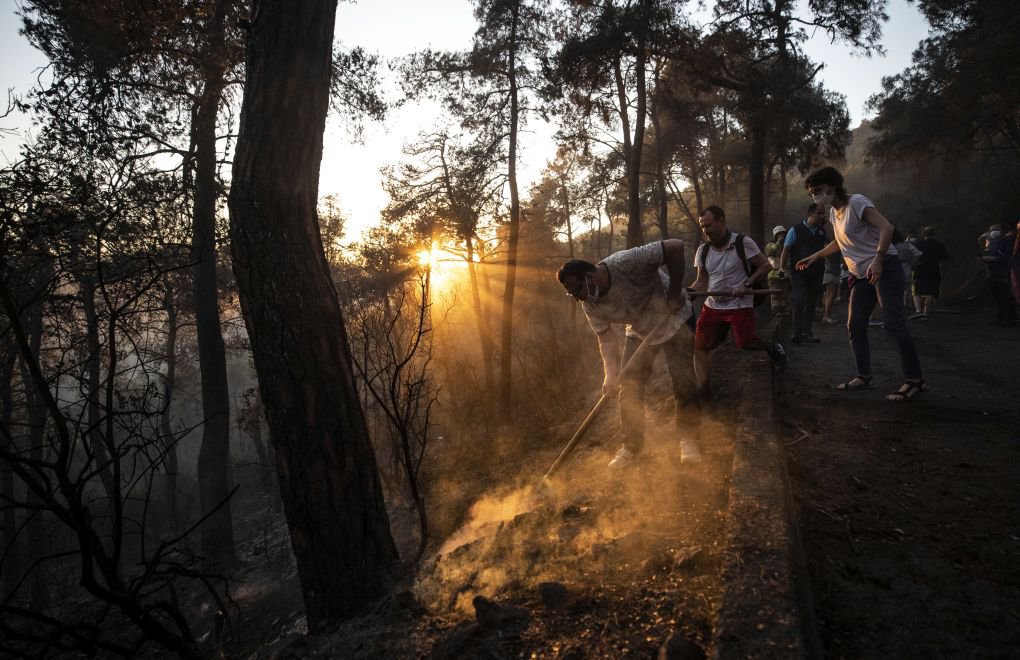 Heybeliada'daki orman yangınında 1 tutuklama