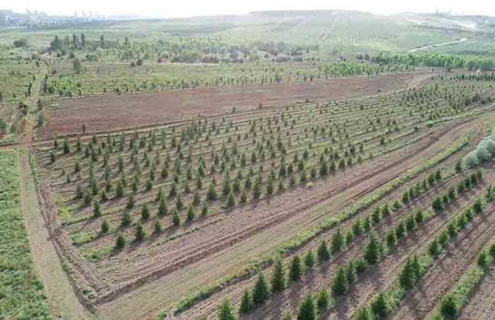 Hagia Sophia sets a precedent: Application for Atatürk Forest Farm 