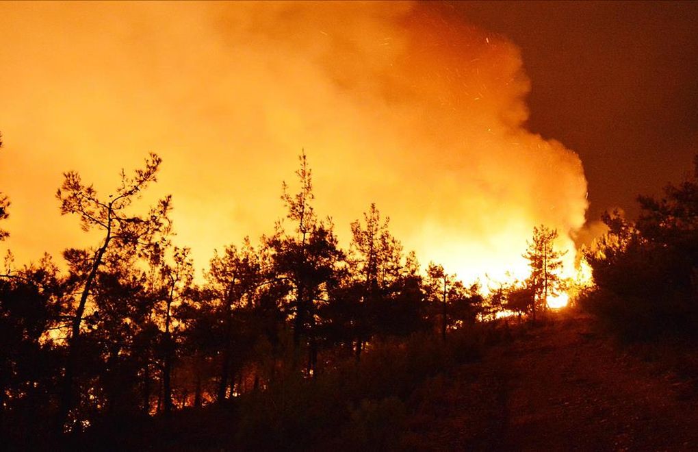 2,688 forest fires broke out in Turkey in 2019