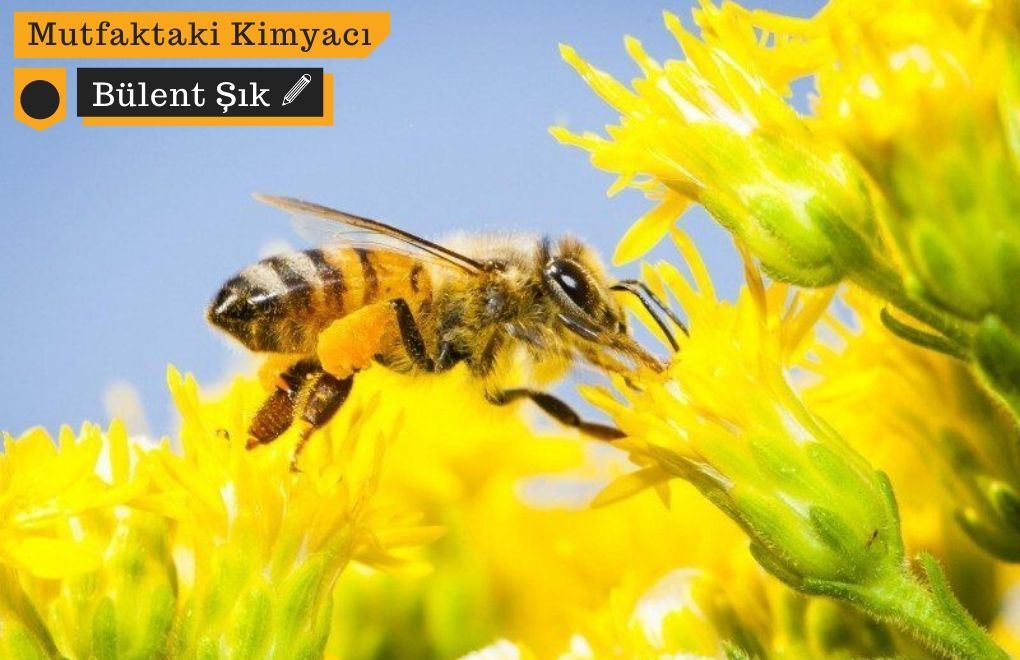 Türkiye’de arılara en çok zarar veren pestisitlerle ilgili bir kara liste