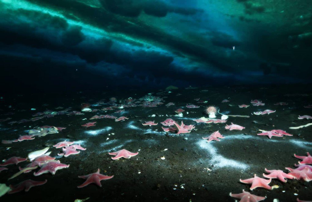 Antarktika'nın deniz yatağında metan sızıntısı